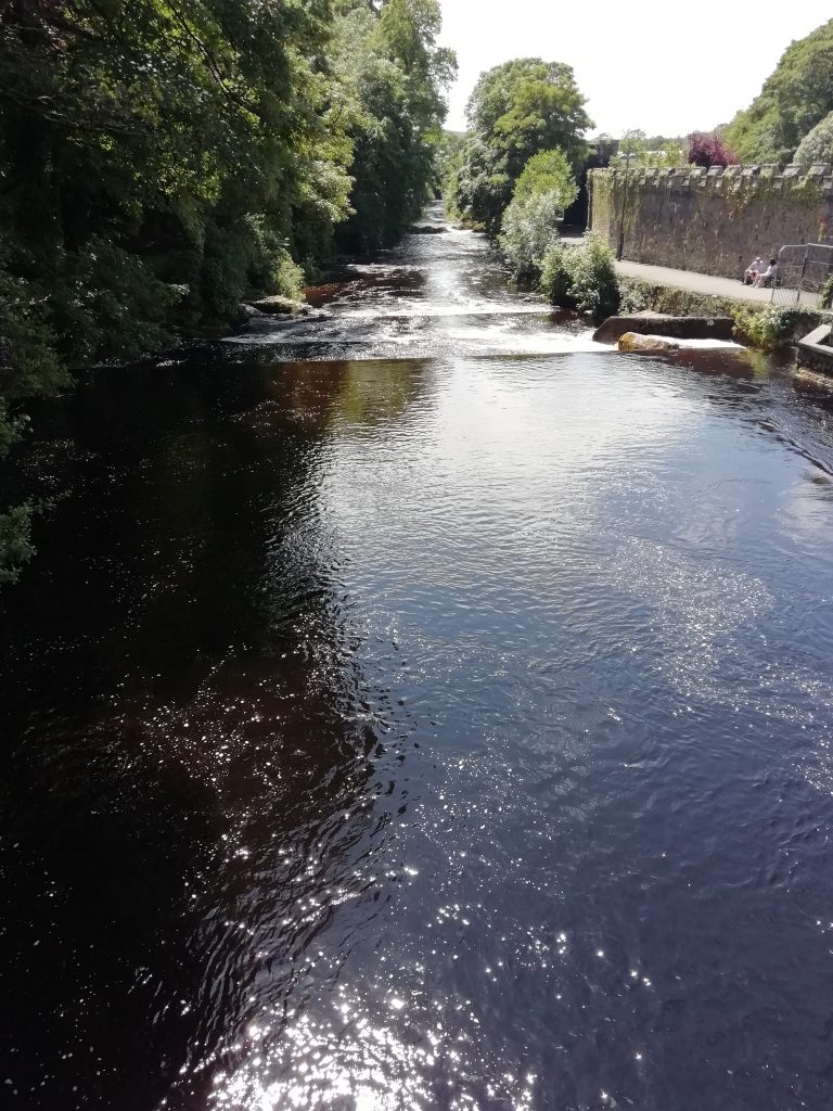 Beside River Tavy